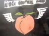 Allman Brothers Flying Peach