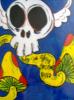 Allman Brothers Flying Skull